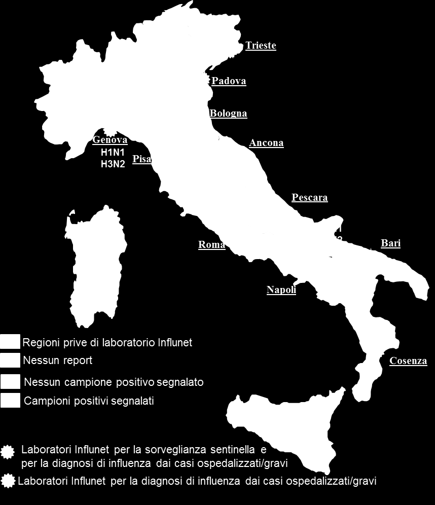 Figura 1 Distribuzione geografica dei ceppi virali identificati nella