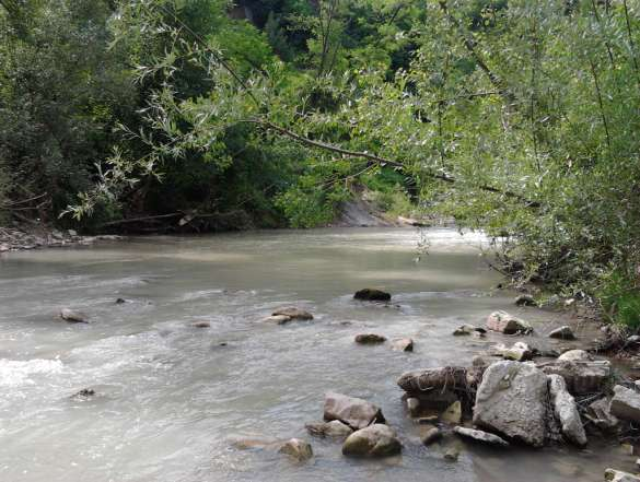 8S Urbania località Isola - Fiume Metauro a valle del depuratore Foto n. 9 - Fiume Metauro località Isola valle depuratore Il punto di campionamento è sito a circa 50 m.