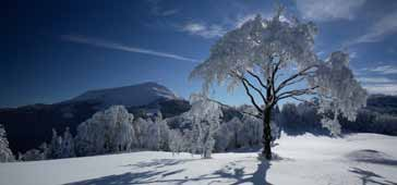 CALENDARIO/CALENDAR/KALENDER FEBBRAIO FEBRUARY FEBRUAR 01 Mercoledì Wednesday Mittwoch ORCHESTRA HAYDN DI BOLZANO E TRENTO STAGIONE SINFONICA Auditorium Santa Chiara, Via S. Croce 67, Trento h. 20.