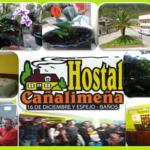 Apart Hotel 11 Baños Only 600 metres from Baños commercial area, Napolitano Apart Hotel offers rooms with free