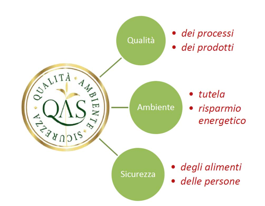 Settore Oleario: protocollo di sostenibilità Farchioni Olii ha deciso di formalizzare il suo impegno nei confronti della sostenibilità con il progetto denominato Qualità Ambiente Sicurezza.