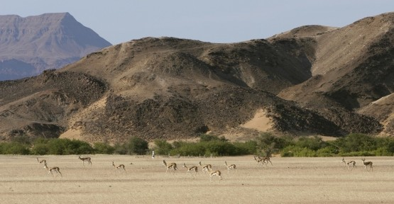 Questa regione è caratterizzata dalle spettacolari montagne del Brandberg, le montagne più alte della Namibia dove vive la popolazione Boscimane.