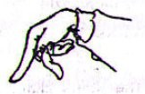 勾尖 gōu jiān punta del gancio 芍手 sháo shŏu - mano a peonia forma della mano a gancio con il dito anulare ed il mignolo