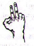 一指梅 yì zhĭ méi dito a fiore di susino forma della mano in cui il dito indice è disteso, le altre dita sono fortemente piegate all'altezza della seconda nocca, ed il pollice si piega e serra con forza