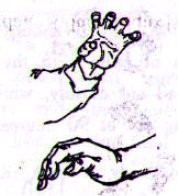 artiglio 鹰爪 yīng zhăo artiglio dell'aquila forma della mano con le 4 dita lunghe giustapposte e piegate con forza all'altezza della seconda e terza nocca, con il pollice