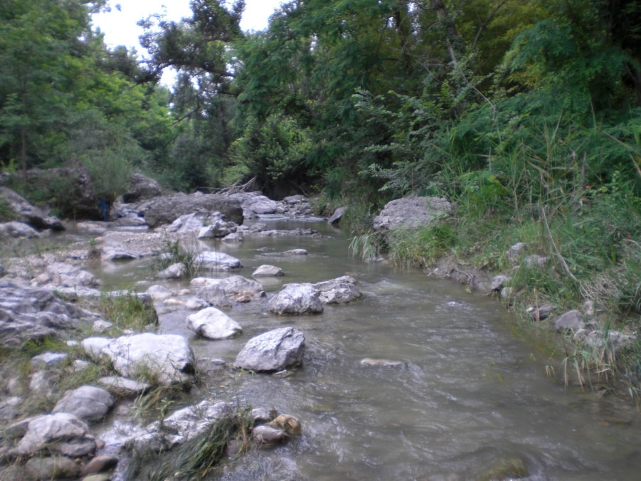 Fiume Uso_ stazione Uso 06 (100 m.s.l.m.) Le caratteristiche del tratto esaminato sono tipiche di un corso d acqua di bassa collina.