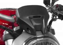 ZA968Y Cover cupolino Ducati Monster 821 1200 Carbonio opaco