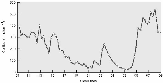 La struttura chimica degli steroidi deriva dal ciclopentanoperidrofenantrene formato da 3 anelli a 6 atomi di carbonio e 1 a 5 atomi di carbonio: gli steroidi surrenalici sono formati da 19 atomi di