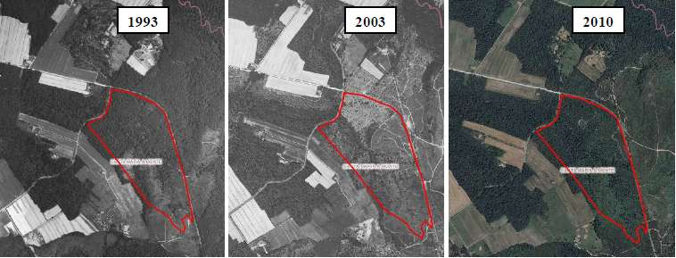 superficie complessiva di 533 ettari (medie annuali di 8 incendi e 53 ettari percorsi). Nel periodo che va dal 2000-2004 al 2005-2010 la media annua del numero degli incendi è passata da 4,6 a 9,5.