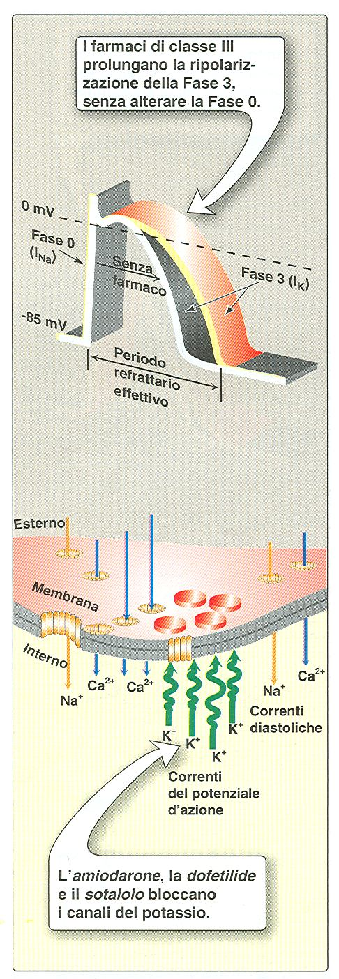 AMIODARONE SOTALOLO