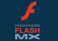 Macromedia Flash per il web Il Macromedia Flash attualmente viene utilizzato soprattutto nell'ambito della costruzione di