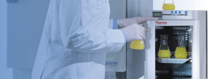 Incubatore microbiologico Heratherm Compact, 18 l La soluzione ideale per l incubazione personalizzata design intelligente per applicazioni a volumi