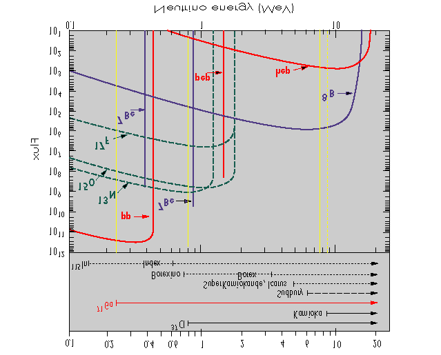 P.Galeotti Evoluzione