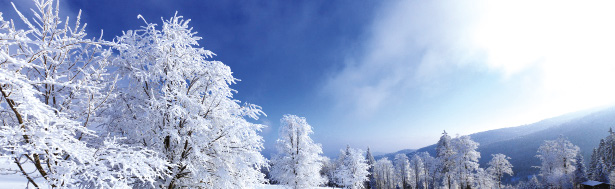 3. 3.1 Il tuo locale fuori terra in Estate Non ci sono problemi in quanto si arieggia frequentemente la casa per tenere sotto controllo le elevate temperature.