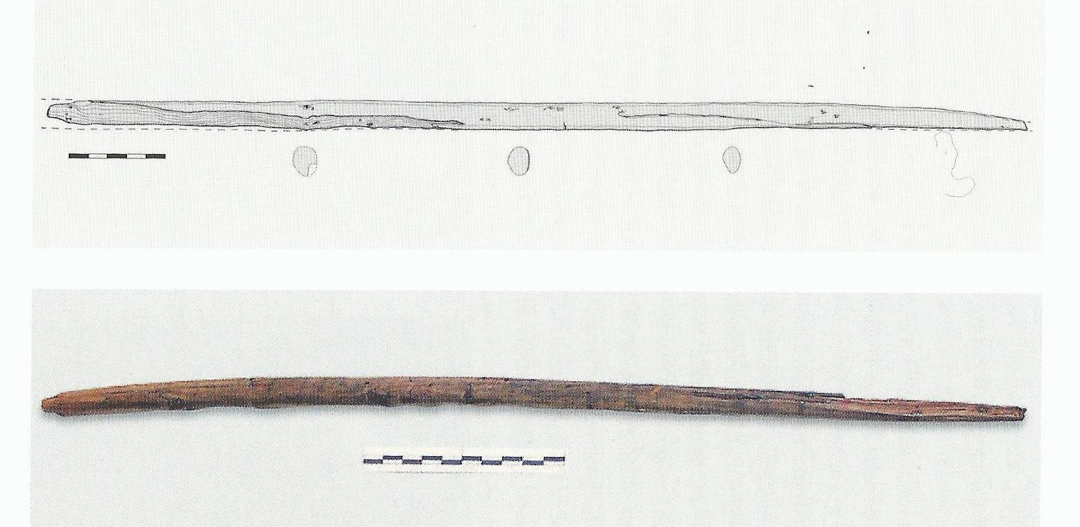 140-160 cm), largo 3,4 e spesso 2,2 cm; frammento di arco di tasso