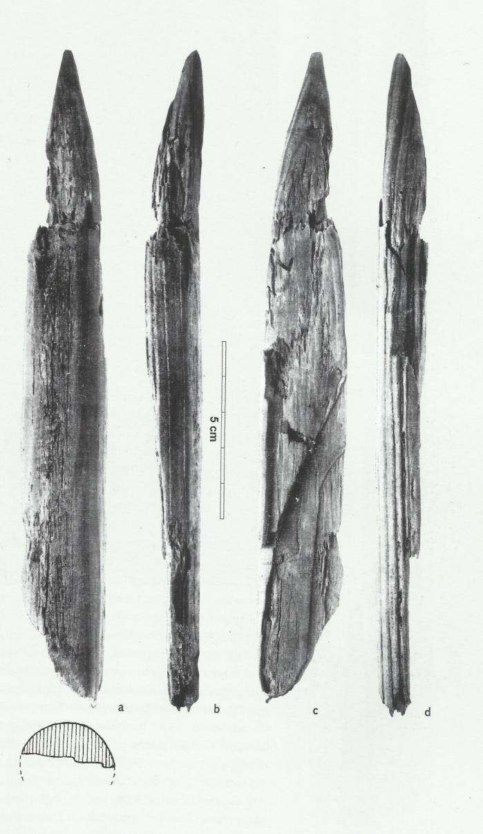 Almeno 105 frammenti di frecce di