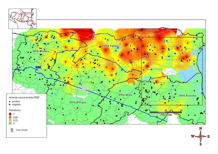 Sierologia sui cavalli Inverse Distance Weighted Interpolation - IDW Celle mq Raggio di ricerca = Km WND in Emilia-Romagna (Conclusioni) Circolazione presente: Ferrara, N Bologna, NE Modena