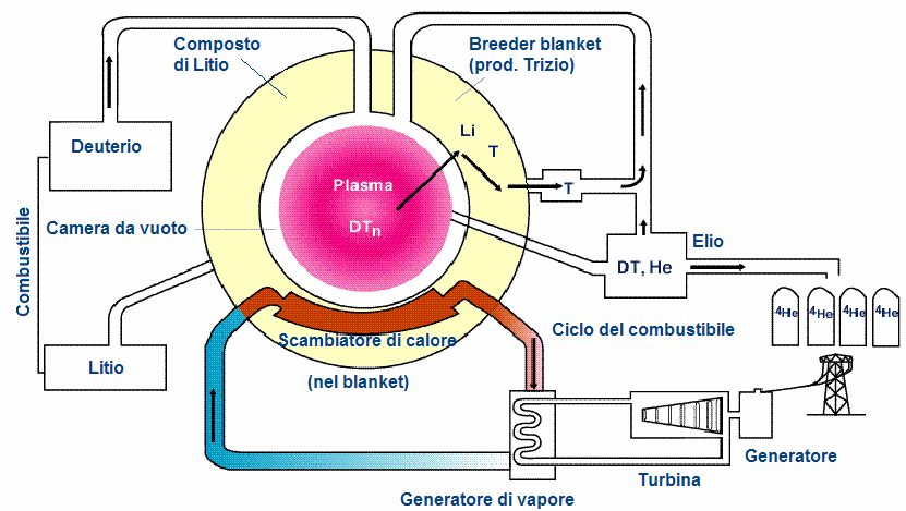 Schema di un reattore a fusione 110 kg