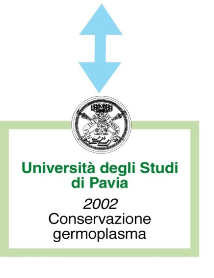 meccanismi di certificazione.