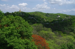 arenaria, quattromila Buddha, un mistero!