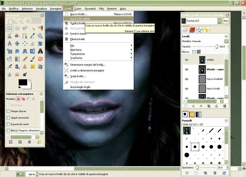 17) Andiamo nel menù Livello e selezioniamo l opzione Nuovo livello dal visibile 18) Andiamo nel