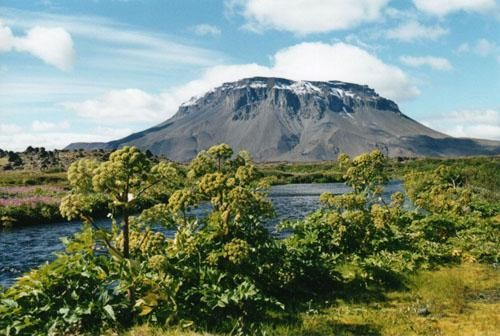 I vulcani a scudo di tipo islandese sono generalmente di