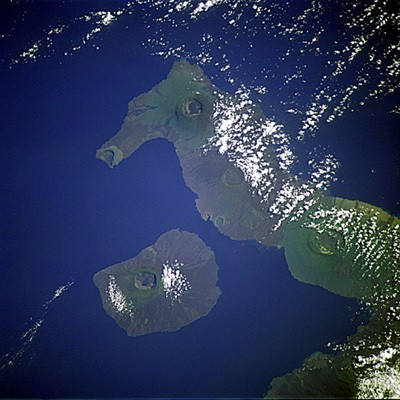 I vulcani a scudo tipo Galàpagos costituiscono un tipo intermedio fra il tipo hawaiiano e quello islandese.