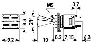 125V 1A 250V 6000-0010 - 6000-0011  250V 6000-0020 -