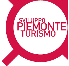 Montagna Invernale 2007-2008 Turismo in Piemonte Profilo del turista