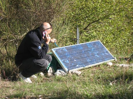 intervenire prima possibile in caso di