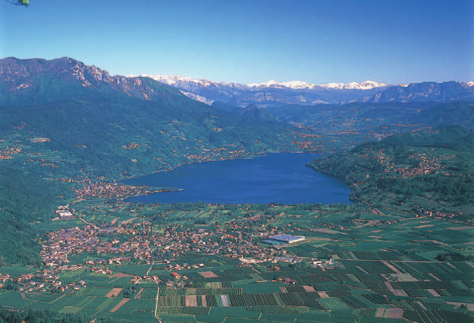 2017 TURNI SERVIZIO FARMACIE ALTA VALSUGANA www.trento.