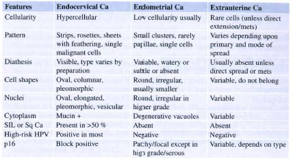 Cytologic distinction between endocervical,