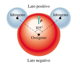 dipolo elettrico p = q d momento di dipolo