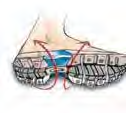 punti d appoggio Suola composite anti-perforazione ultra fl essibile Puntale