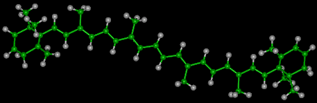 I carotenoidi La molecola del β-carotene è caratterizzata da ben undici doppi legami coniugati, che le conferiscono la ben nota colorazione giallo-arancione (è la parte evidenziata, appunto, in