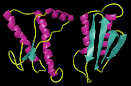 Ripiegamento non corretto delle proteine Prione nel cervello dell individuo sano Prione nel cervello di un malato di