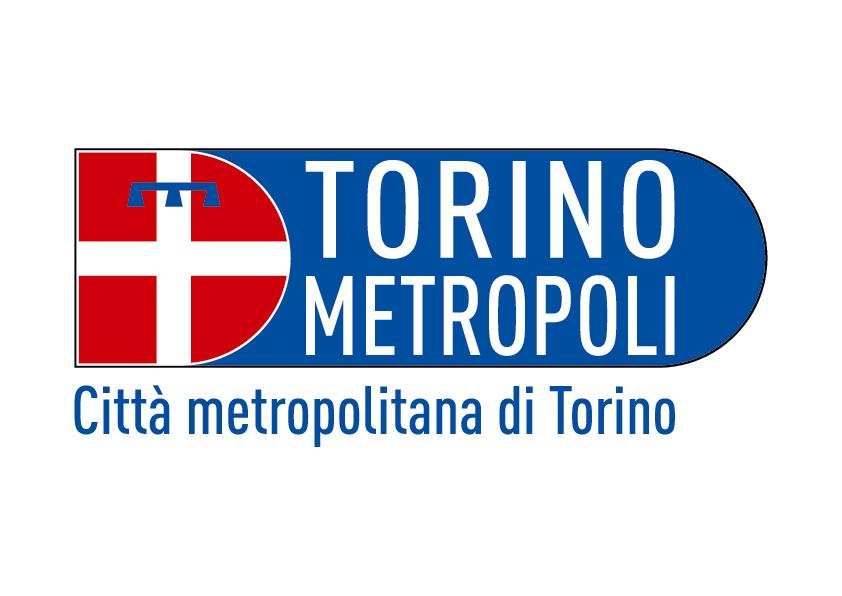Città Metropolitana di Torino - Dizionario rifiuti - Aggiornamento del 22/10/2015. Le informazioni contenute in questo documento hanno validità per il territorio della Città Metropolitana di Torino.