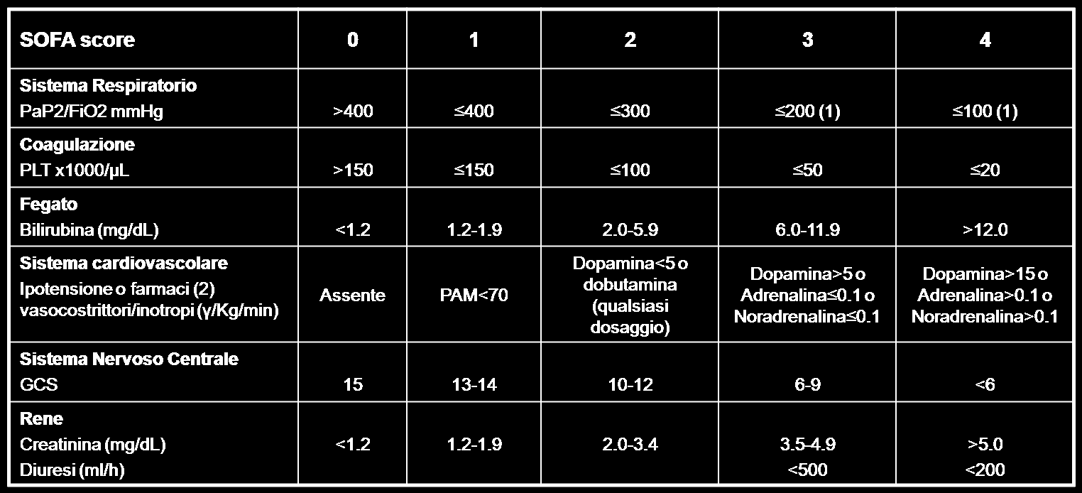 vasocostrittori/inotropi vengono considerati se somministrati per più di 1 ora Nel corso degli ultimi anni, in numerosi stati sono stati applicati dei bundle (diversi da studio a studio) che hanno