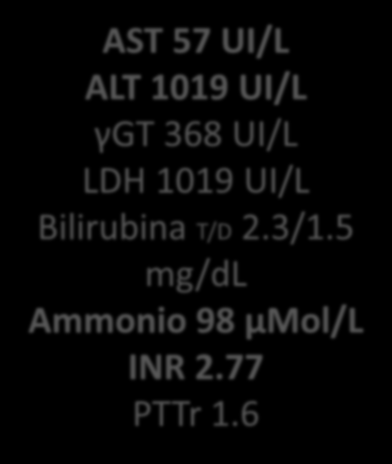 1 mg/dl AST 57 UI/L ALT 1019 UI/L γgt 368 UI/L LDH 1019