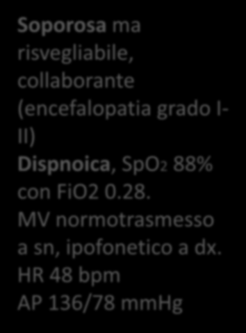 FiO2 0.28. MV normotrasmesso a sn, ipofonetico a dx.