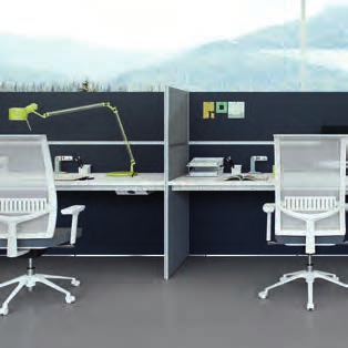 Solution allowing the maximum privacy and concentration in the secretarial call center site.