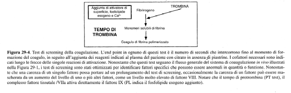 Il PTT o aptt si definisce il tempo (secondi) necessario affinchè un aliquota di plasma povero di piastrine coaguli in seguito all aggiunta di un attivatore della fase di contatto, tt di fosfolipidi