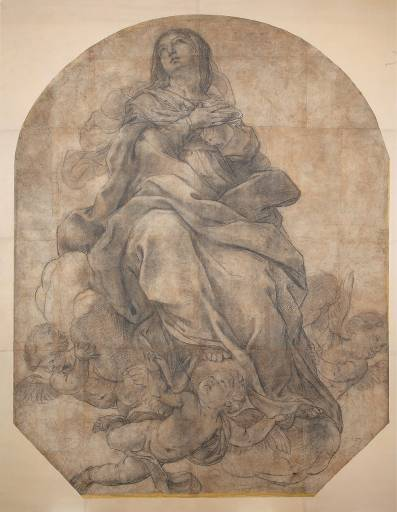 Assunta Pinacoteca di