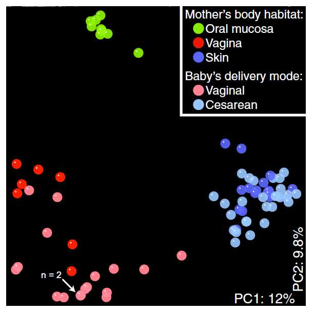 the initiation stage of human microbiome development remains obscure multiplexed 16S rrna gene pyrosequencing to characterize bacterial communities from mothers and their newborn babies, four born