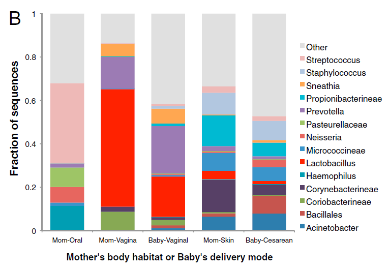 The results also show that vaginally delivered infants acquired bacterial communities