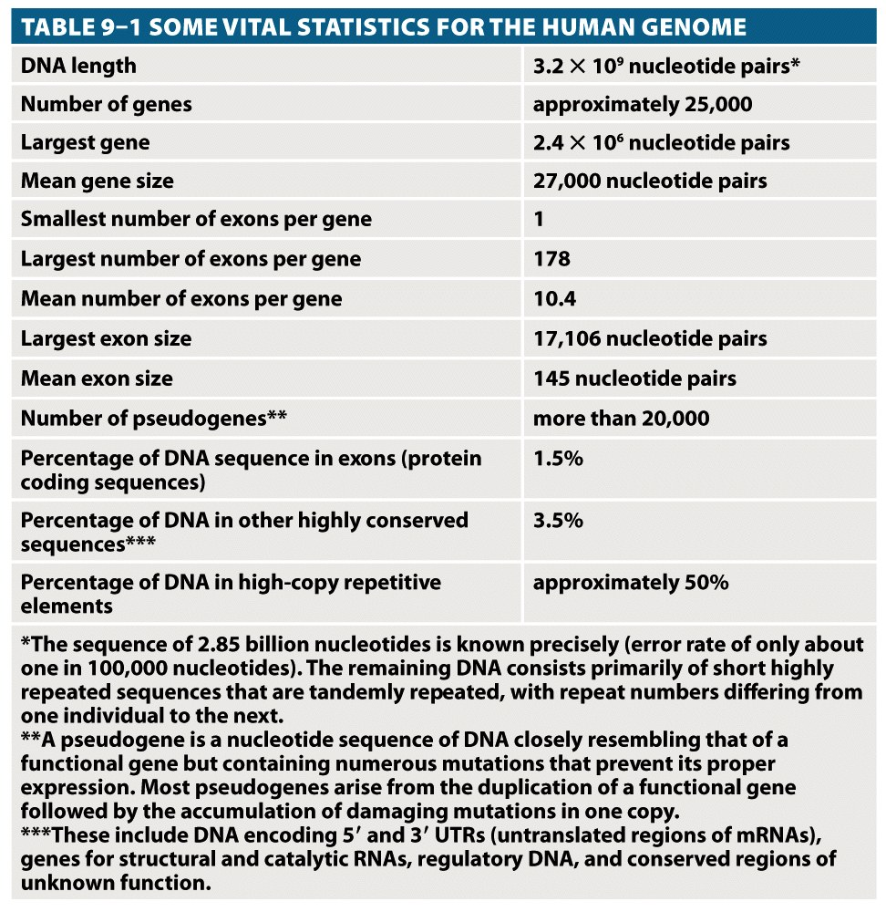 IL GENOMA UMANO Il genoma umano è stato completamente sequenziato (2004): siamo nella era post- genomica, ma