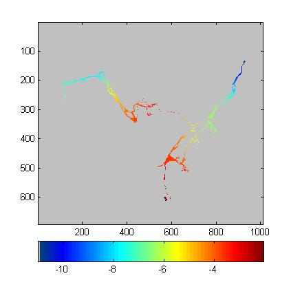 Temperatura Il dato di temperatura media giornaliera (TEMP) viene impiegato nel modello per discernere, a scala di cella, tra precipitazione liquida e solida.