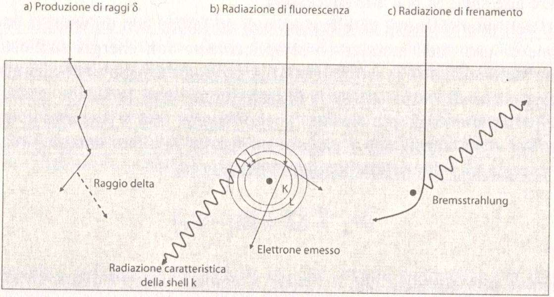 Un fascio di elettroni penetra nella materia, dando origine a: produzione di elettroni