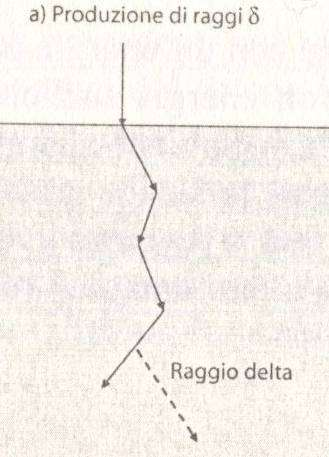 Produzione di raggi delta I raggi sono elettroni secondari con energia sufficientemente elevata da lasciare la traccia principale dell evento ionizzante e creare una traccia propria.