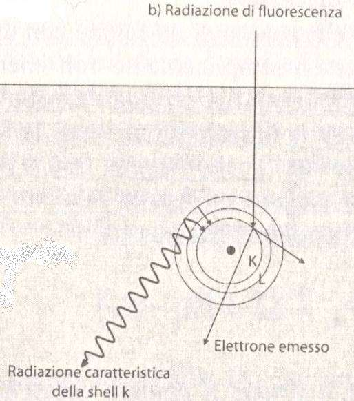 Produzione di raggi X di fluorescenza Gli elettroni che orbitano attorno al nucleo atomico sono organizzati in shell.